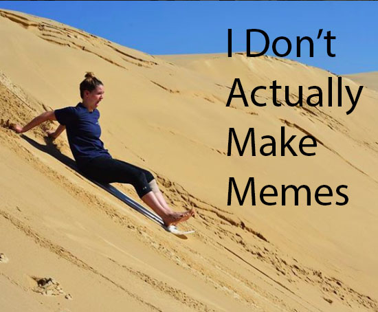 I don't actually make memes.jpg